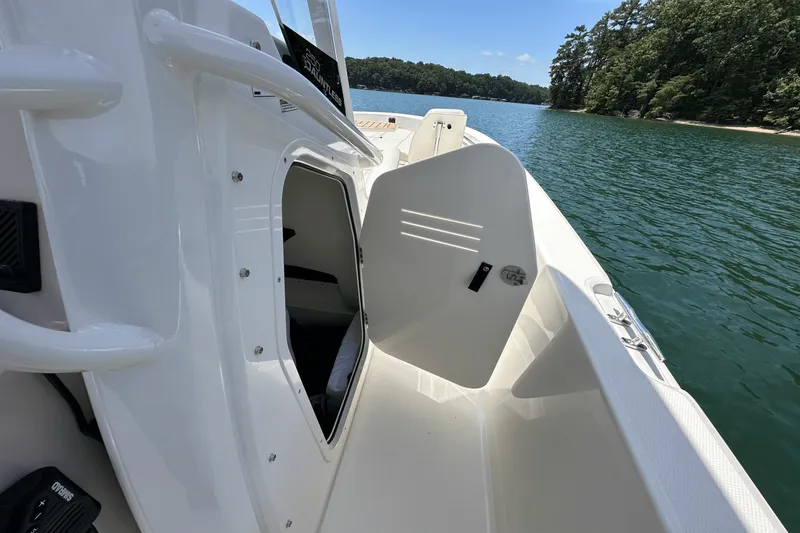 Slide: The Image of Boston Whaler 250 Dauntless 2025 - 27