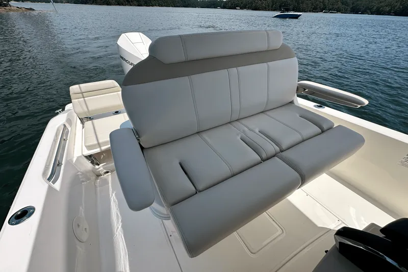 Slide: The Image of Boston Whaler 250 Dauntless 2025 - 28
