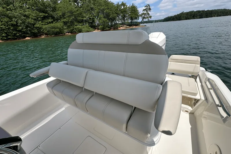 Slide: The Image of Boston Whaler 250 Dauntless 2025 - 29