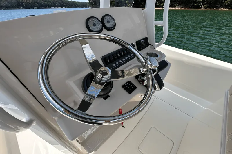 Slide: The Image of Boston Whaler 250 Dauntless 2025 - 30