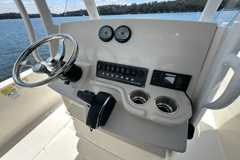 Slide: The Image of Boston Whaler 250 Dauntless 2025 - 31