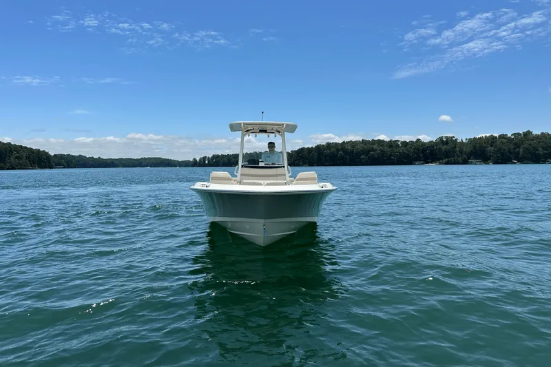 Slide: The Image of Boston Whaler 250 Dauntless 2025 - 4