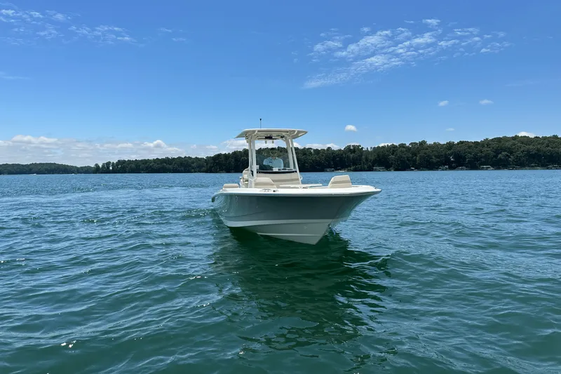 Slide: The Image of Boston Whaler 250 Dauntless 2025 - 5