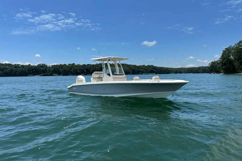 Slide: The Image of Boston Whaler 250 Dauntless 2025 - 6