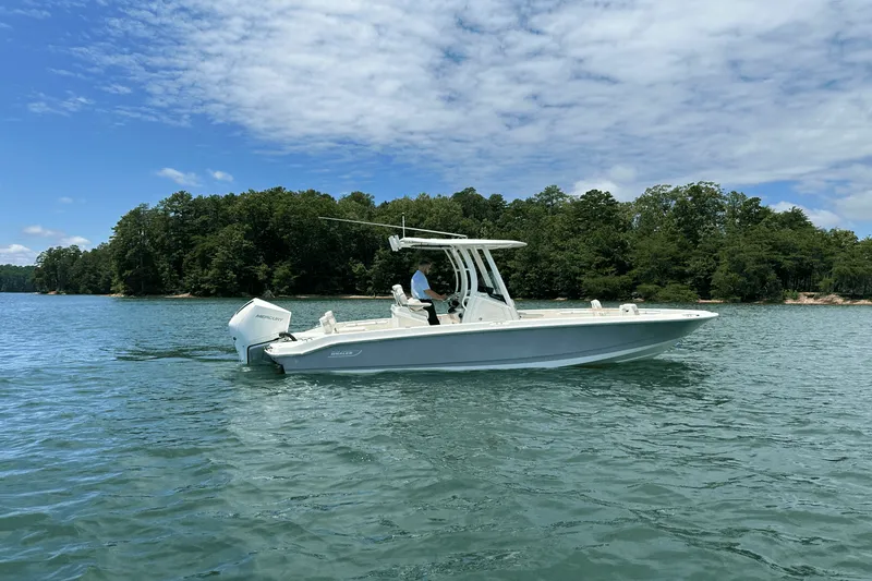 Slide: The Image of Boston Whaler 250 Dauntless 2025 - 8