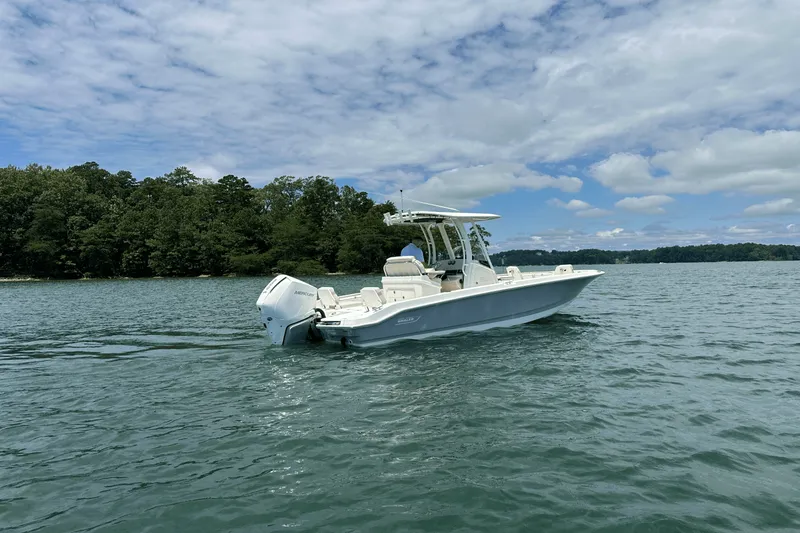 Slide: The Image of Boston Whaler 250 Dauntless 2025 - 9