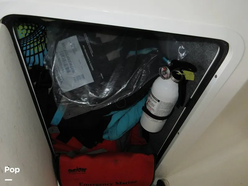 Slide: The Image of Sea Ray SPX 190 2018 - 13631947