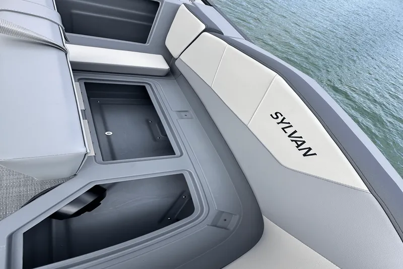 Slide: The Image of Sylvan A-22 2025 - 12