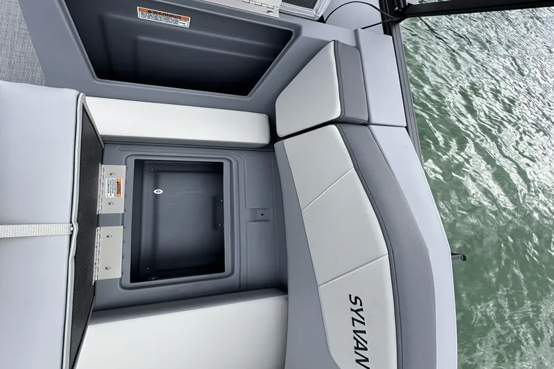 Slide: The Image of Sylvan A-22 2025 - 21