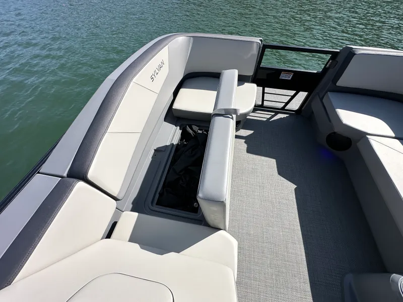 Slide: The Image of Sylvan A22 LZ DH 2025 - 12