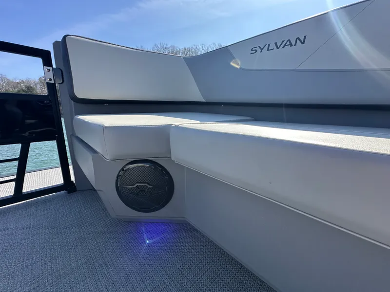 Slide: The Image of Sylvan A22 LZ DH 2025 - 13
