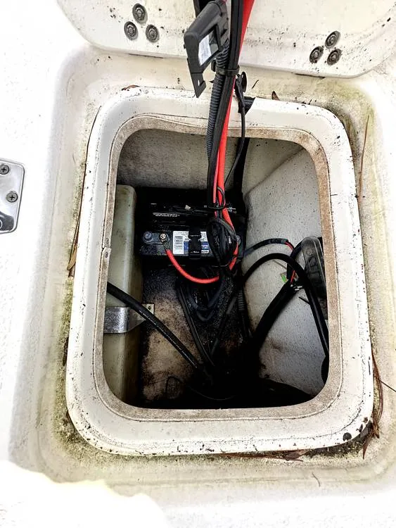 Slide: The Image of Carolina 198 DLV 2011 - 13650572