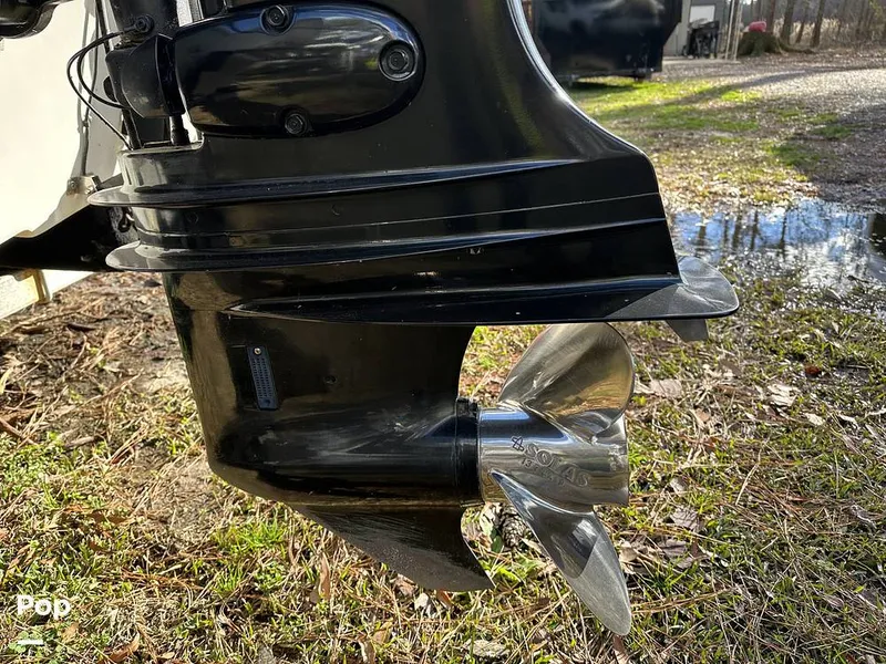 Slide: The Image of Carolina 198 DLV 2011 - 13778251