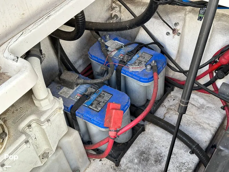 Slide: The Image of Sea Ray 260 Sundancer 2015 - 13874163