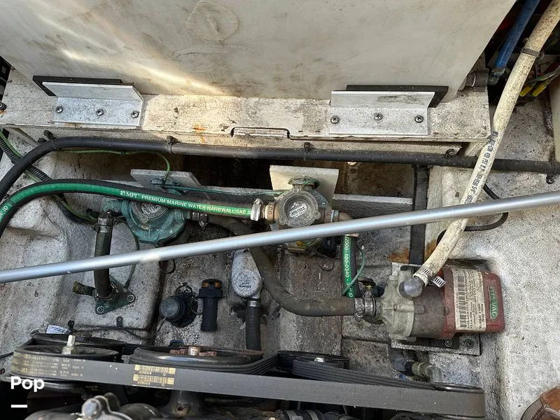 Slide: The Image of Sea Ray 260 Sundancer 2015 - 13874166