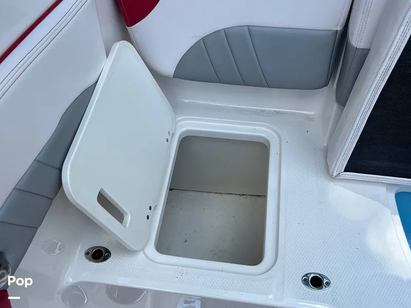 Slide: The Image of Chaparral 21 SURF 2020 - 14362789