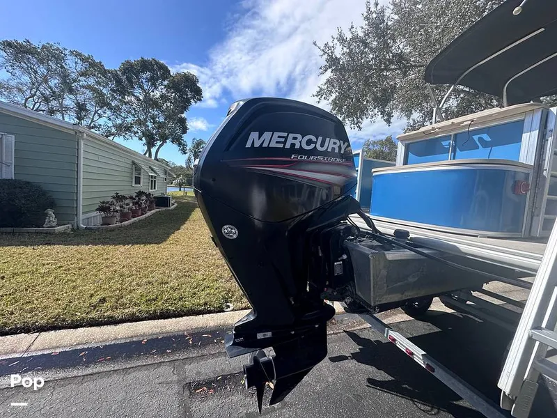 Slide: The Image of Sylvan Mirage 8522 Fish 2018 - 13826450