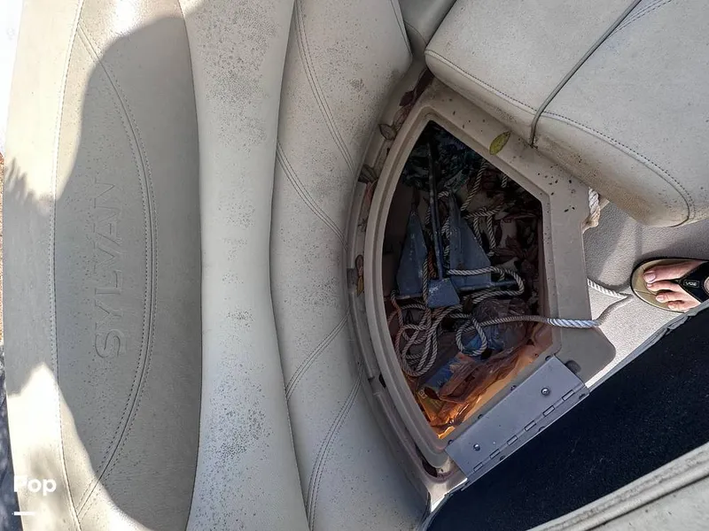 Slide: The Image of Sylvan Mirage 8522 Fish 2018 - 13826524