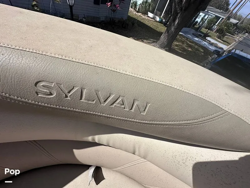 Slide: The Image of Sylvan Mirage 8522 Fish 2018 - 13826531