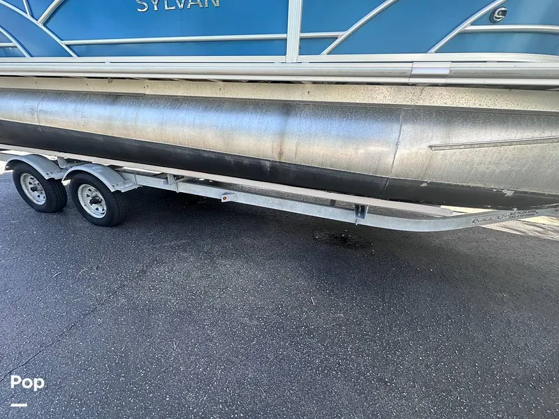 Slide: The Image of Sylvan Mirage 8522 Fish 2018 - 13826545