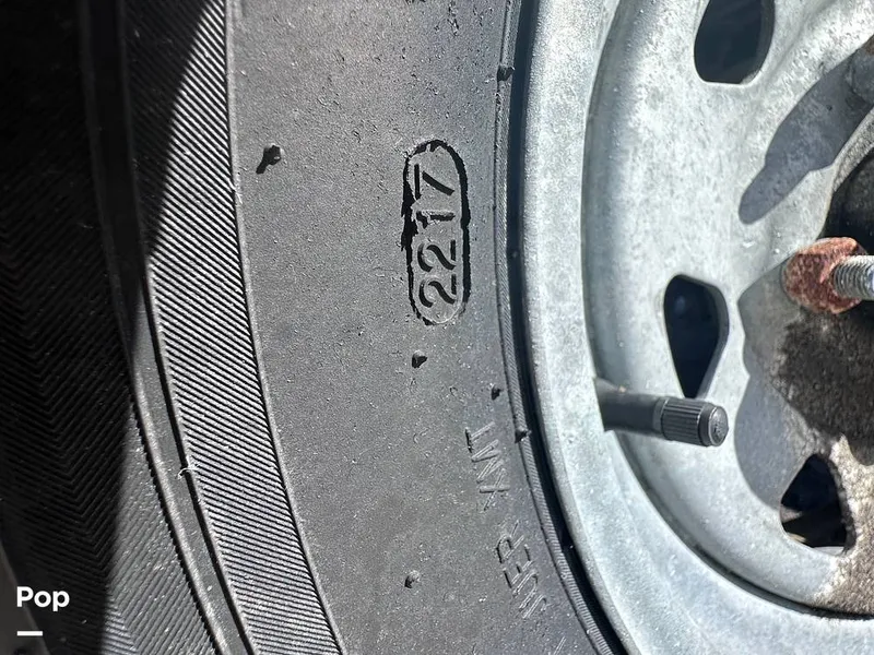 Slide: The Image of Sylvan Mirage 8522 Fish 2018 - 13826559