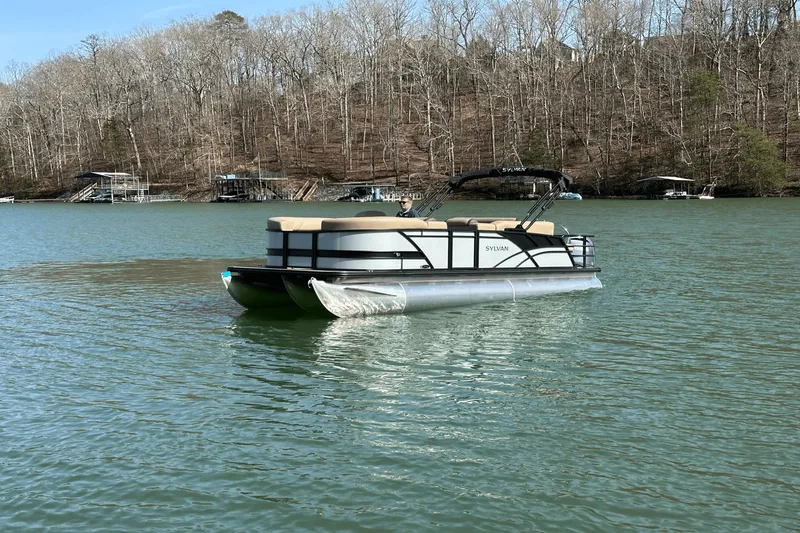 Slide: The Image of Sylvan MIRAGE 822 2025 - 11