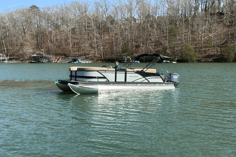 Slide: The Image of Sylvan MIRAGE 822 2025 - 12