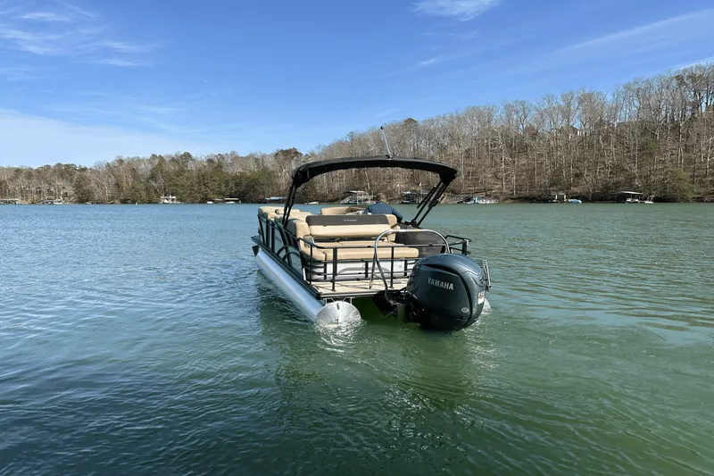 Slide: The Image of Sylvan MIRAGE 822 2025 - 2