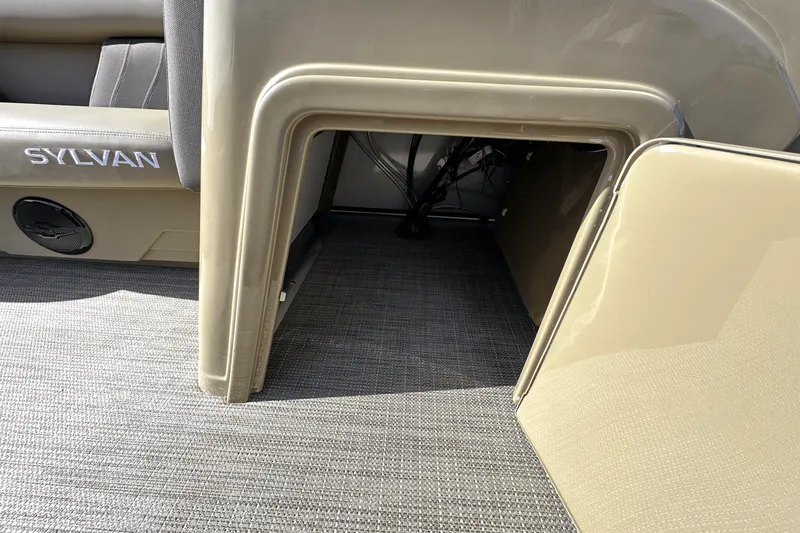 Slide: The Image of Sylvan MIRAGE 822 2025 - 21