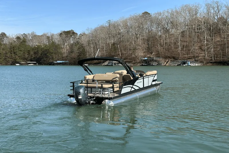 Slide: The Image of Sylvan MIRAGE 822 2025 - 4