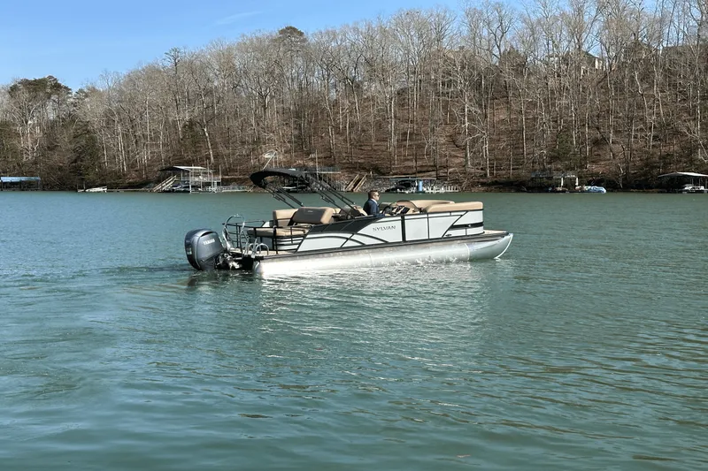 Slide: The Image of Sylvan MIRAGE 822 2025 - 5