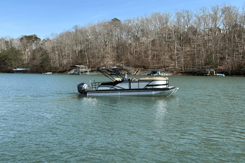 Slide: The Image of Sylvan MIRAGE 822 2025 - 6