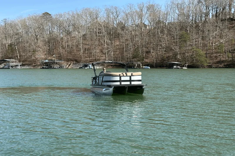 Slide: The Image of Sylvan MIRAGE 822 2025 - 8