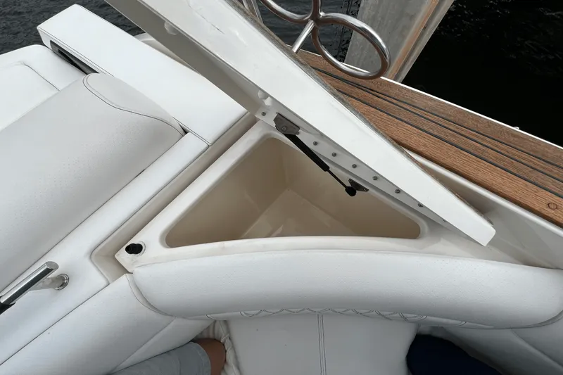Slide: The Image of Sea Ray SLX 310 2022 - 51