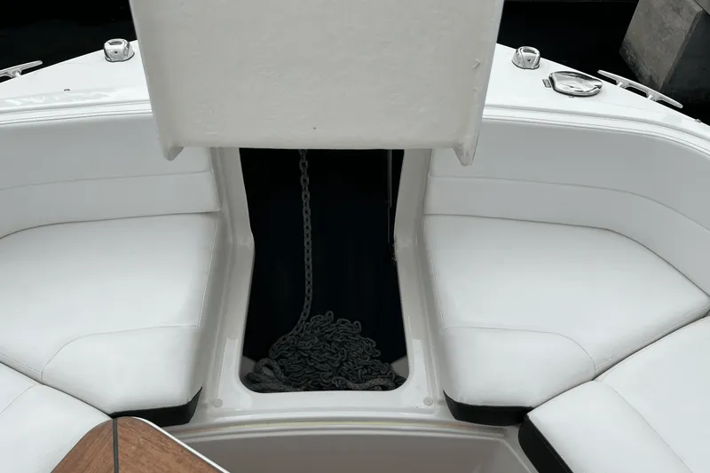 Slide: The Image of Sea Ray SLX 310 2022 - 73