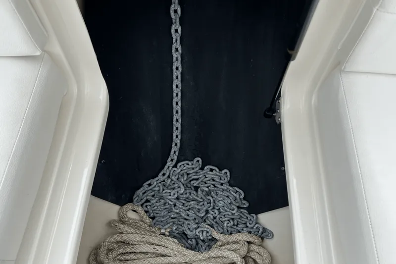 Slide: The Image of Sea Ray SLX 310 2022 - 74