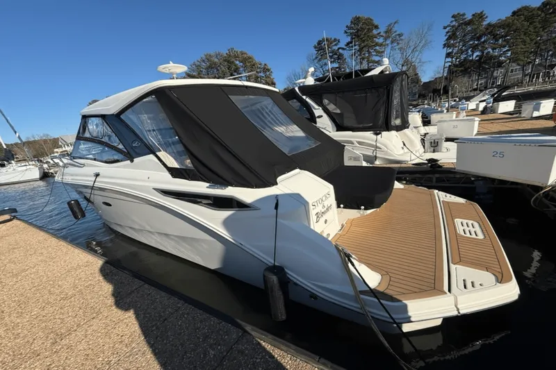 Slide: The Image of Sea Ray 320 2020 - 5