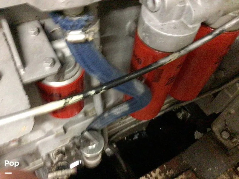 Slide: The Image of Rodriguez 81 1986 - 13665859