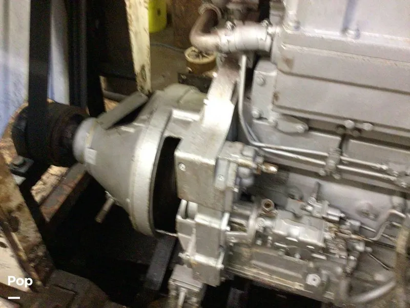 Slide: The Image of Rodriguez 81 1986 - 13665862