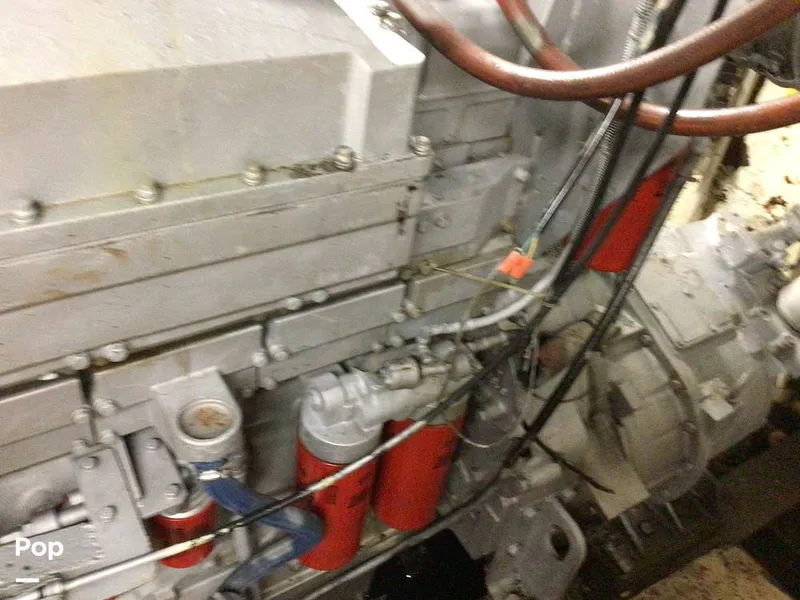 Slide: The Image of Rodriguez 81 1986 - 13665863