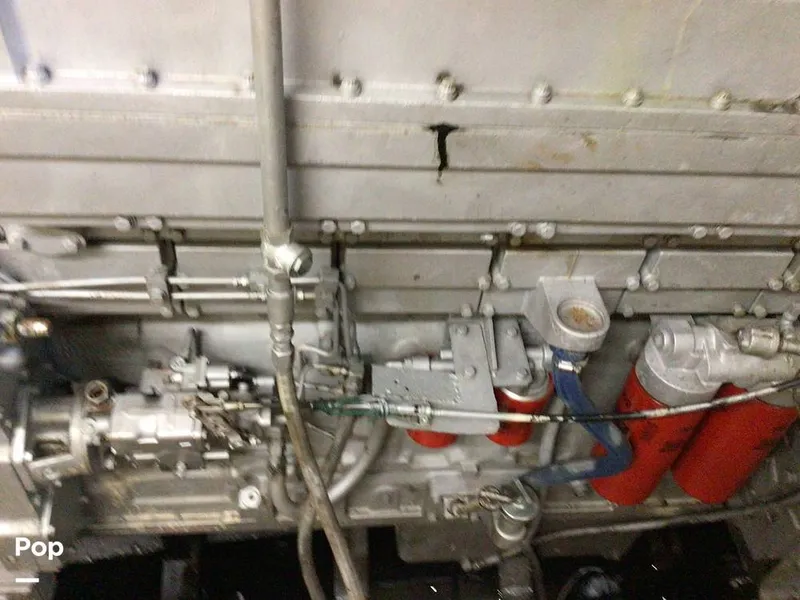 Slide: The Image of Rodriguez 81 1986 - 13665864