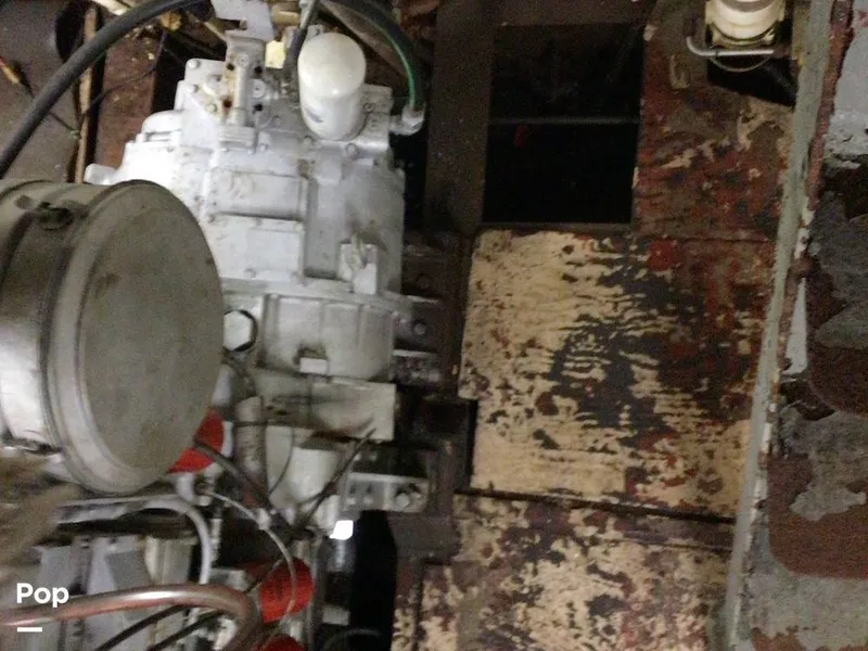 Slide: The Image of Rodriguez 81 1986 - 13665865