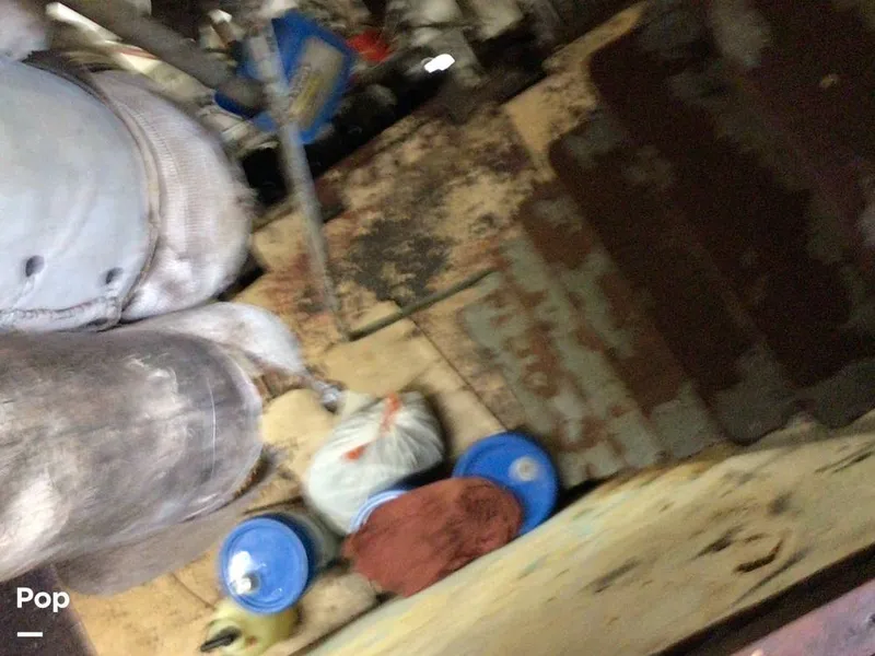 Slide: The Image of Rodriguez 81 1986 - 13665866