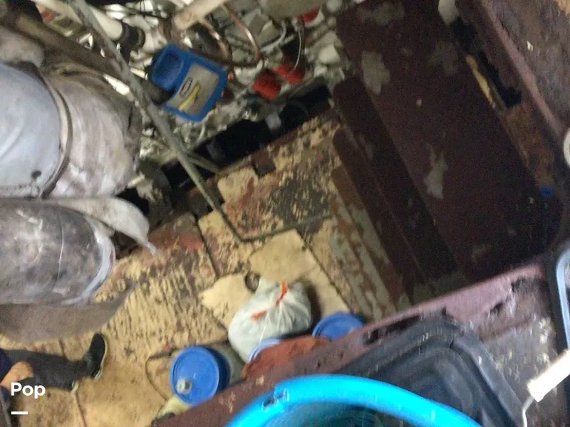 Slide: The Image of Rodriguez 81 1986 - 13665868