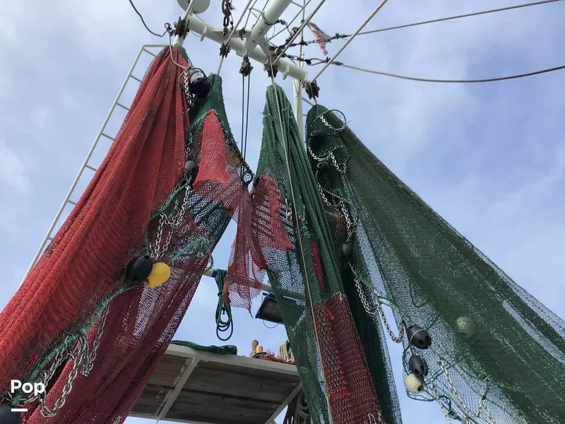 Slide: The Image of Nets - 13665874