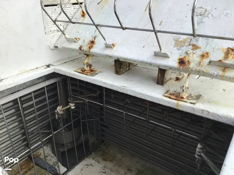 Slide: The Image of Rodriguez 81 1986 - 13665875