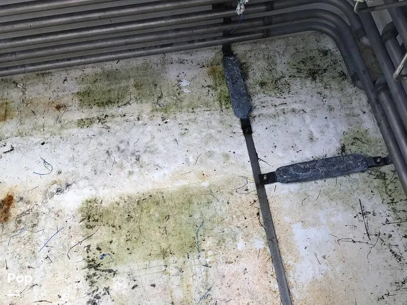 Slide: The Image of Rodriguez 81 1986 - 13665877