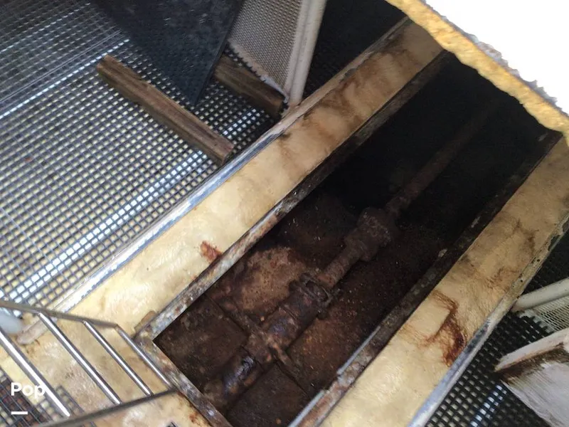 Slide: The Image of Rodriguez 81 1986 - 13665879