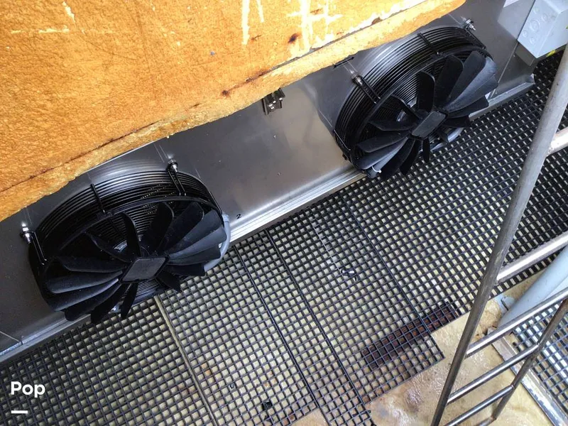 Slide: The Image of Rodriguez 81 1986 - 13665881