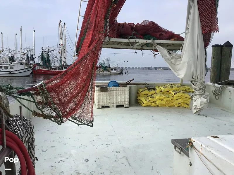 Slide: The Image of Rodriguez 81 1986 - 13665884